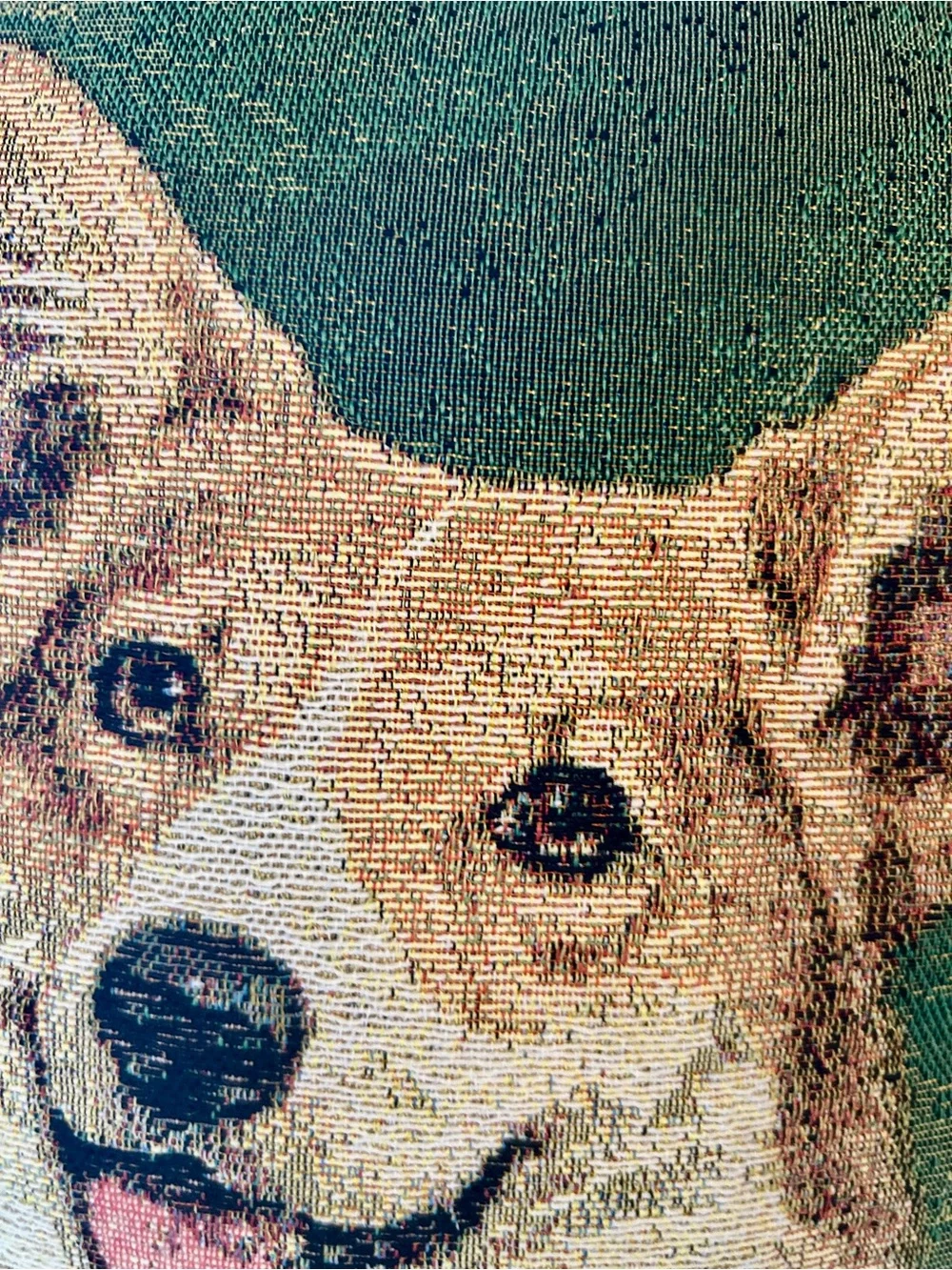 Green Pembroke Corgi Dog Decorative tapestry Throw Pillow